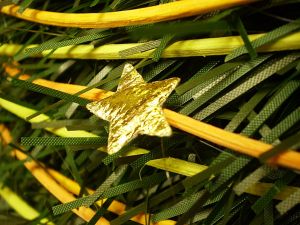 v�no�n� strome�ek na v�noce